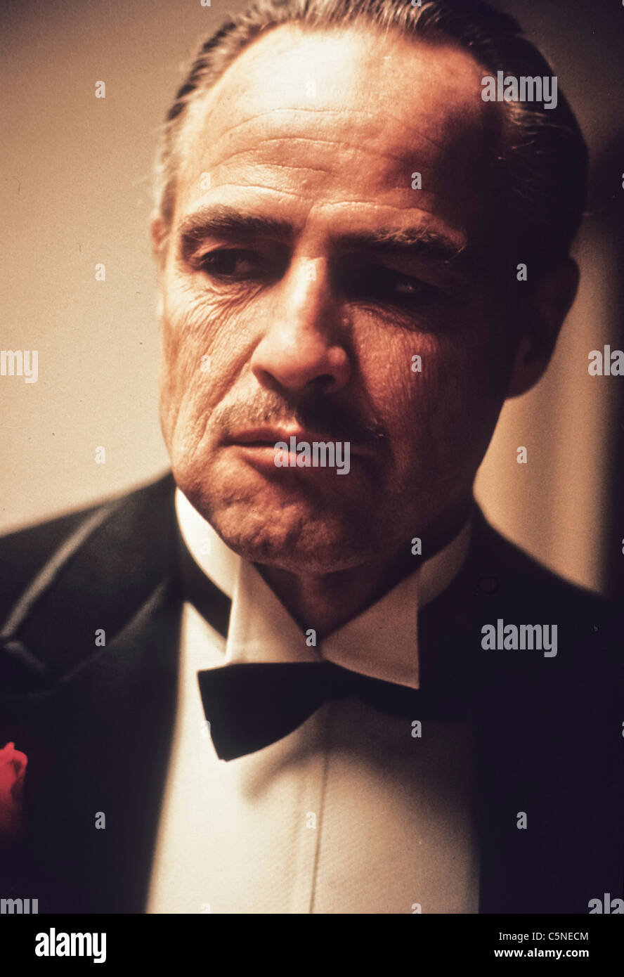 Il padrino immagini e fotografie stock ad alta risoluzione - Alamy