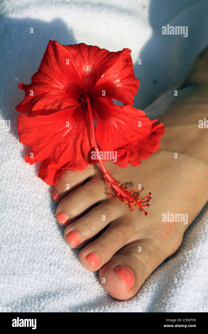 Piedi Foto Stock