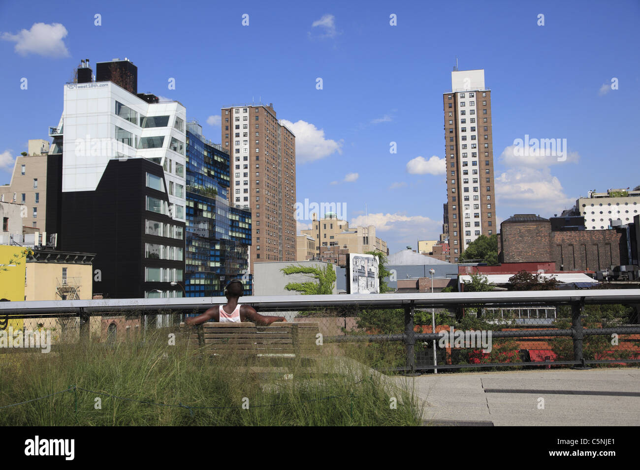 Highline, elevati parco pubblico sulla ex ferrovia, Manhattan, New York City, Stati Uniti d'America Foto Stock