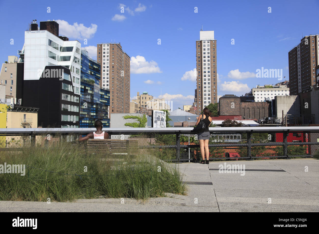 Highline, elevati parco pubblico sulla ex ferrovia, Manhattan, New York City, Stati Uniti d'America Foto Stock