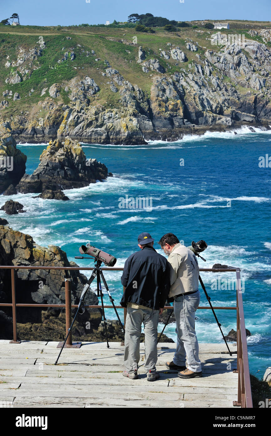 Gli amanti del birdwatching con telescopi a Cap de Sizun, riserva naturale e il santuario degli uccelli in Finisterre, Bretagna Francia Foto Stock
