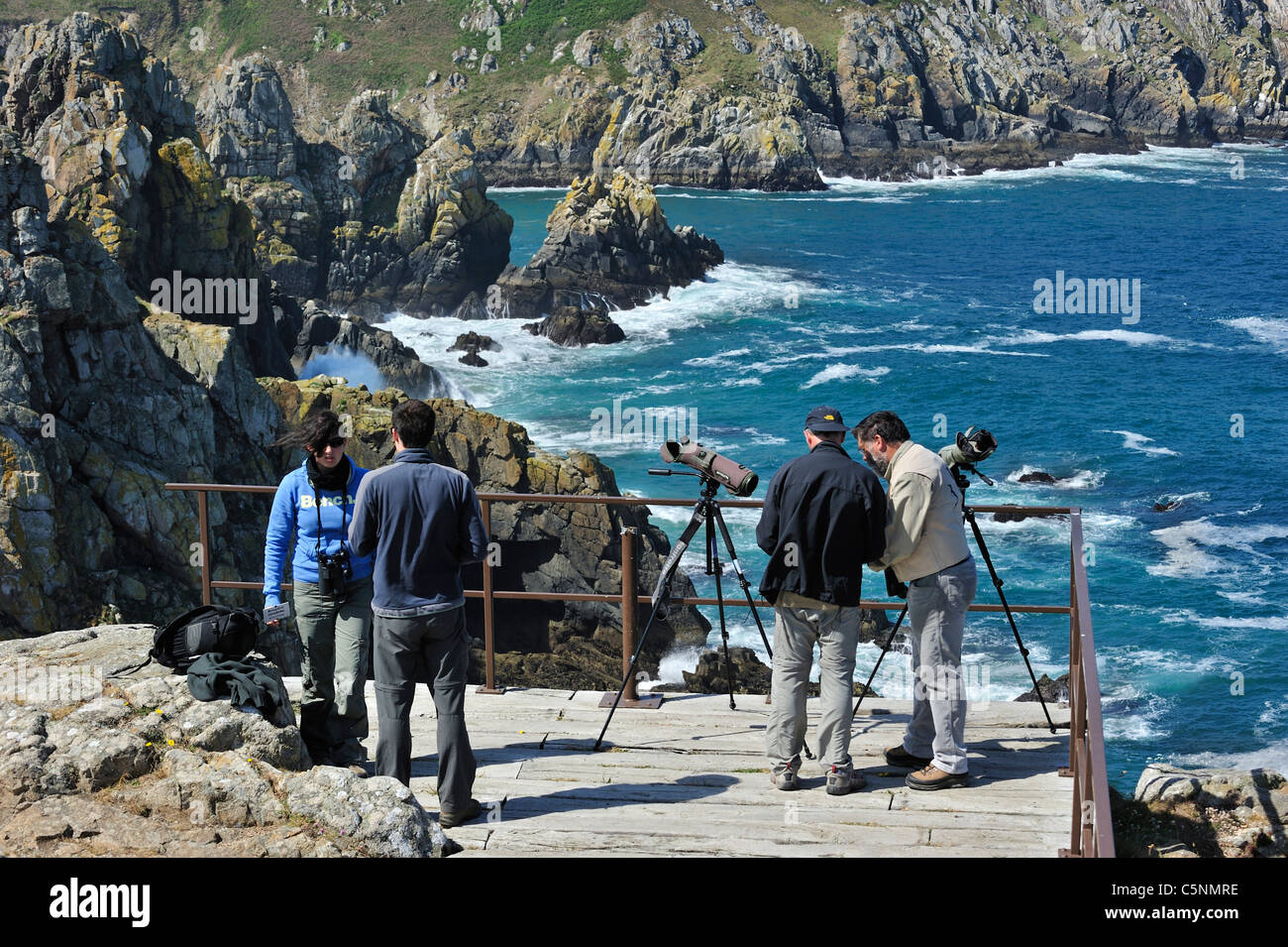 Gli amanti del birdwatching con telescopi a Cap de Sizun, riserva naturale e il santuario degli uccelli in Finisterre, Bretagna Francia Foto Stock