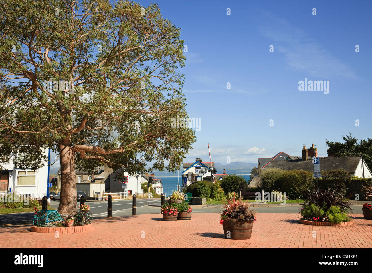 Blocco piazza pavimentata con vasi di fiori in Welsh cittadina sul mare. Y Maes, Criccieth, Llyn Peninsula, Gwynedd, il Galles del Nord, Regno Unito, Gran Bretagna Foto Stock