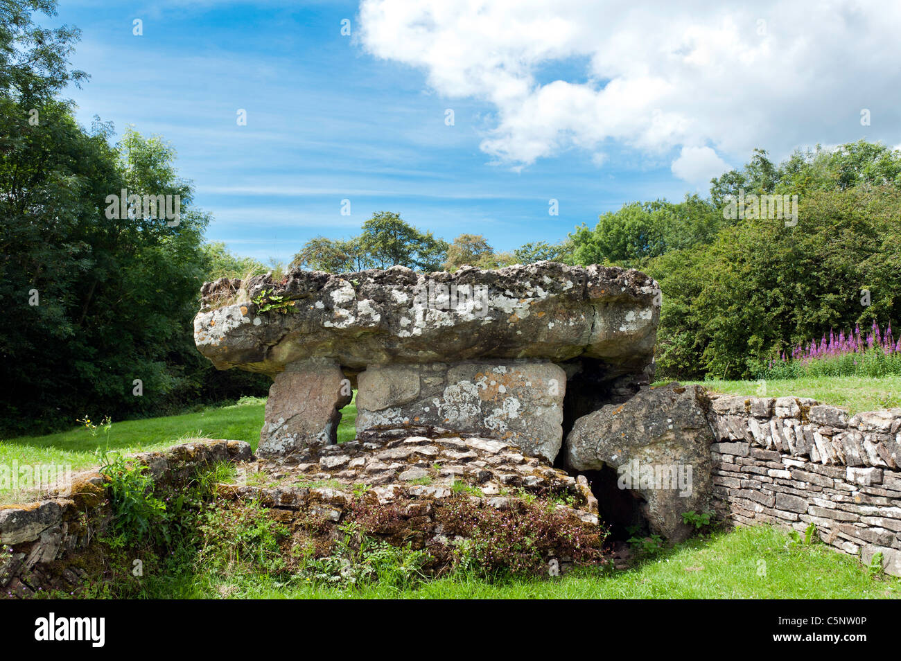 Tinkinswood neolitico megalitiche sepoltura camera sito neolitico Cowbridge South Wales UK Foto Stock