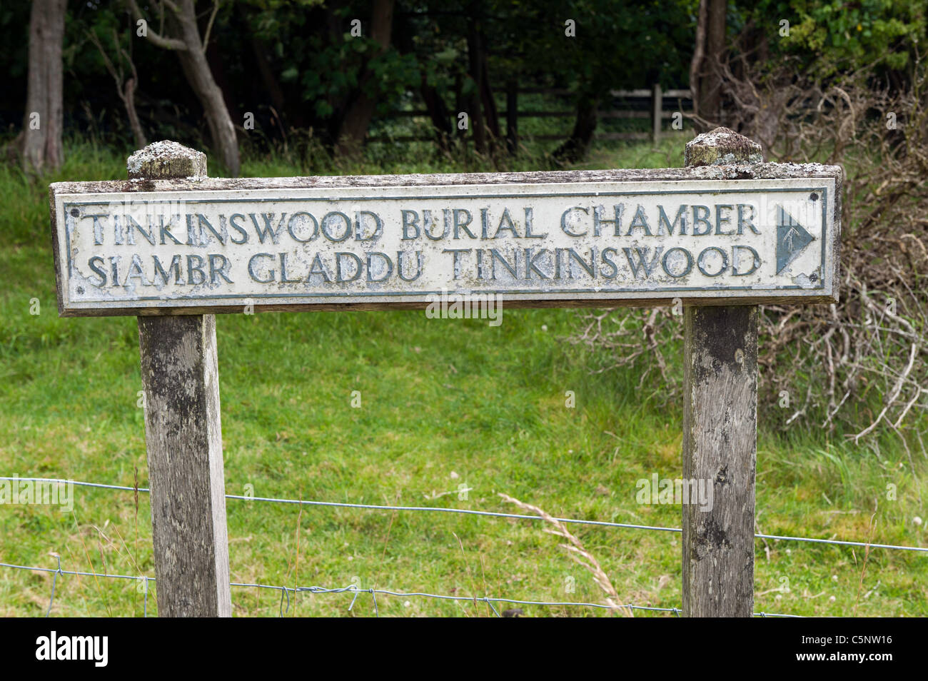 Tinkinswood neolitico megalitiche sepoltura camera sito neolitico Cowbridge South Wales UK Foto Stock