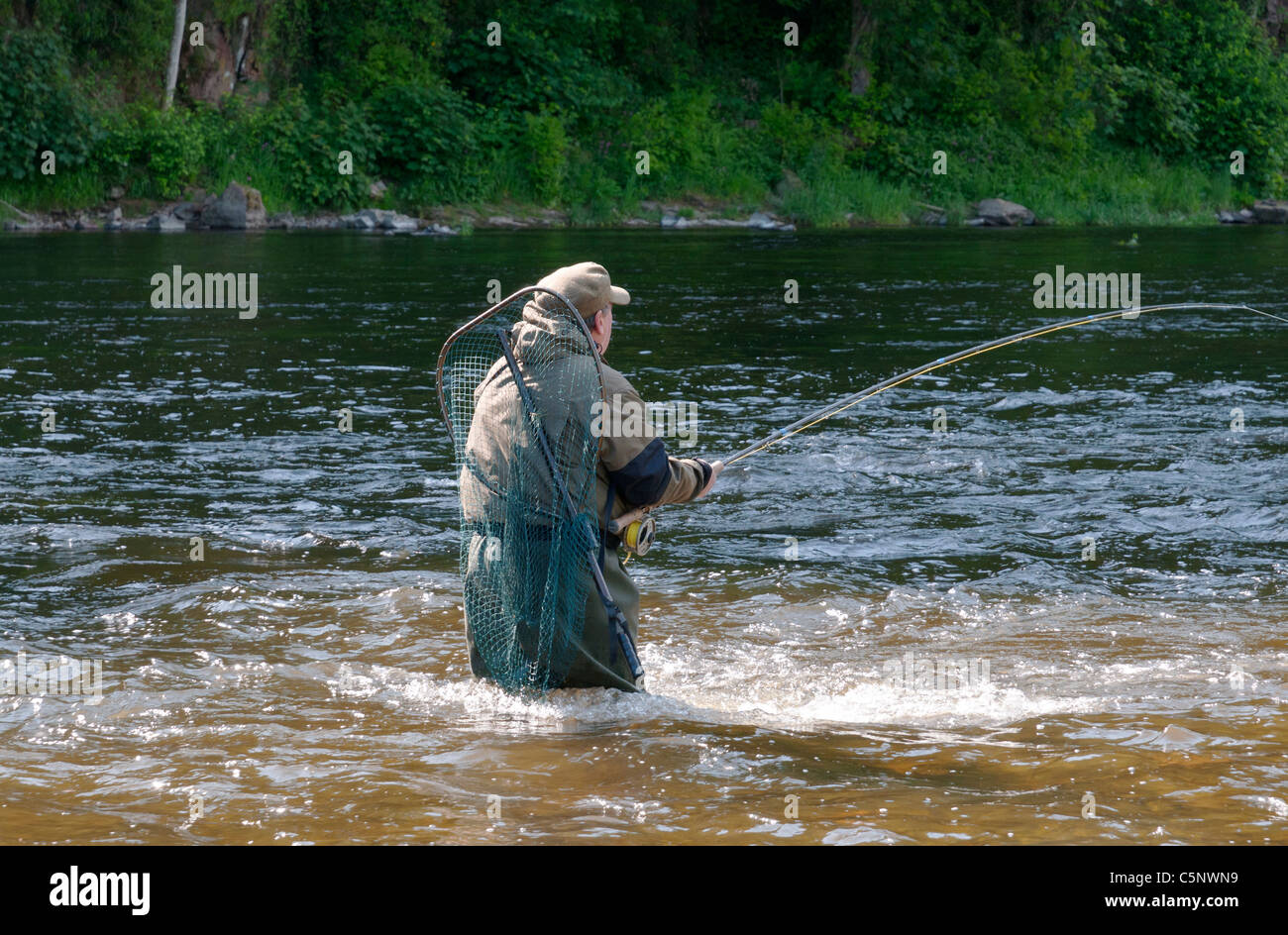 Pescatore di Pesca a Mosca Report di Pesca al salmone nel fiume Tweed, Scottish Borders, Scozia MR Foto Stock