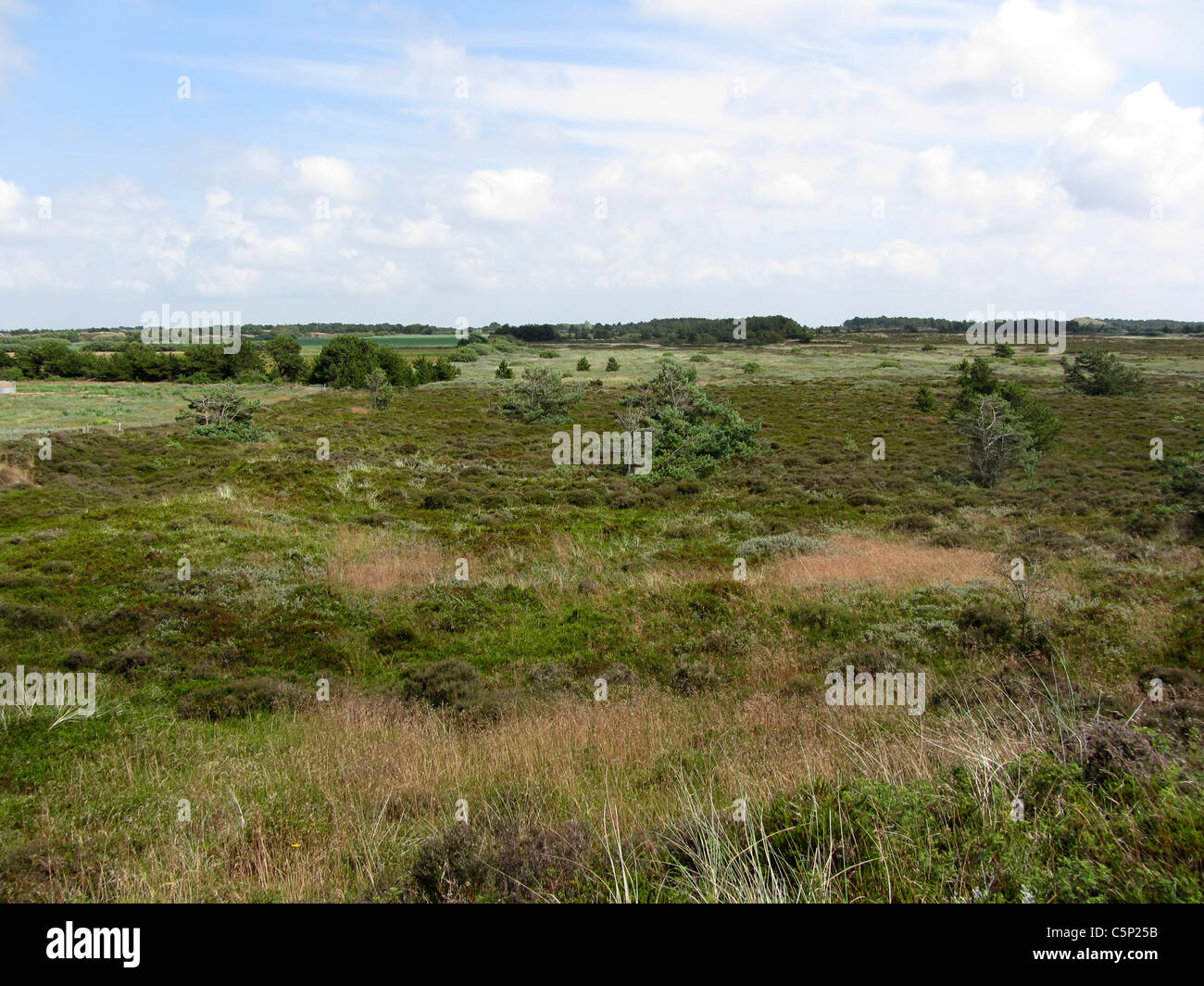 Dune dell'isola danese Romo, nello Jutland, Danimarca Foto Stock