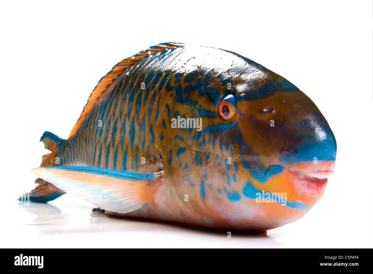 Ricette per pesci Immagini senza sfondo e Foto Stock ritagliate - Alamy