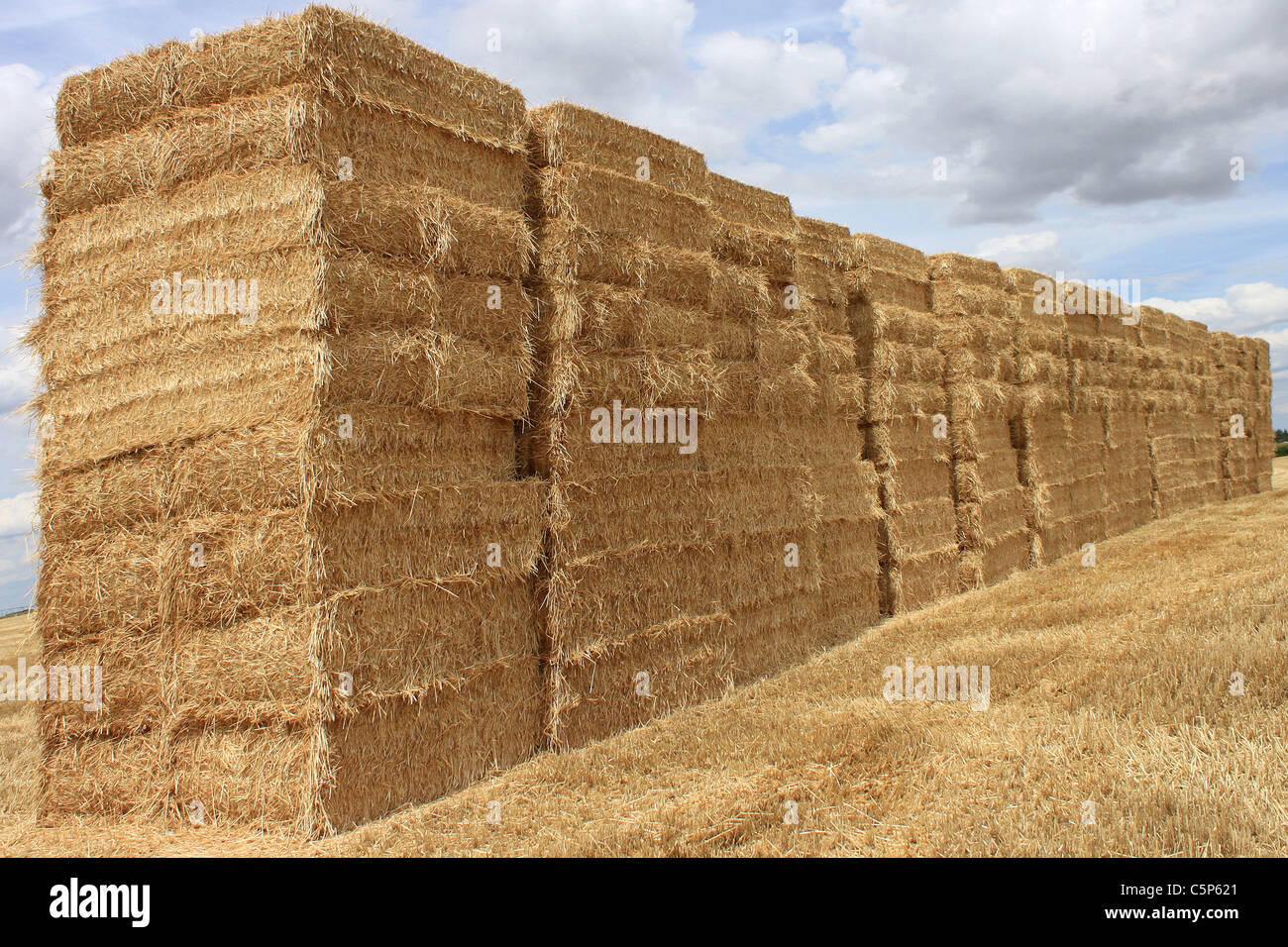 Più balle di paglia impilati in un campo di grano per un naturale agricuture biologico Foto Stock