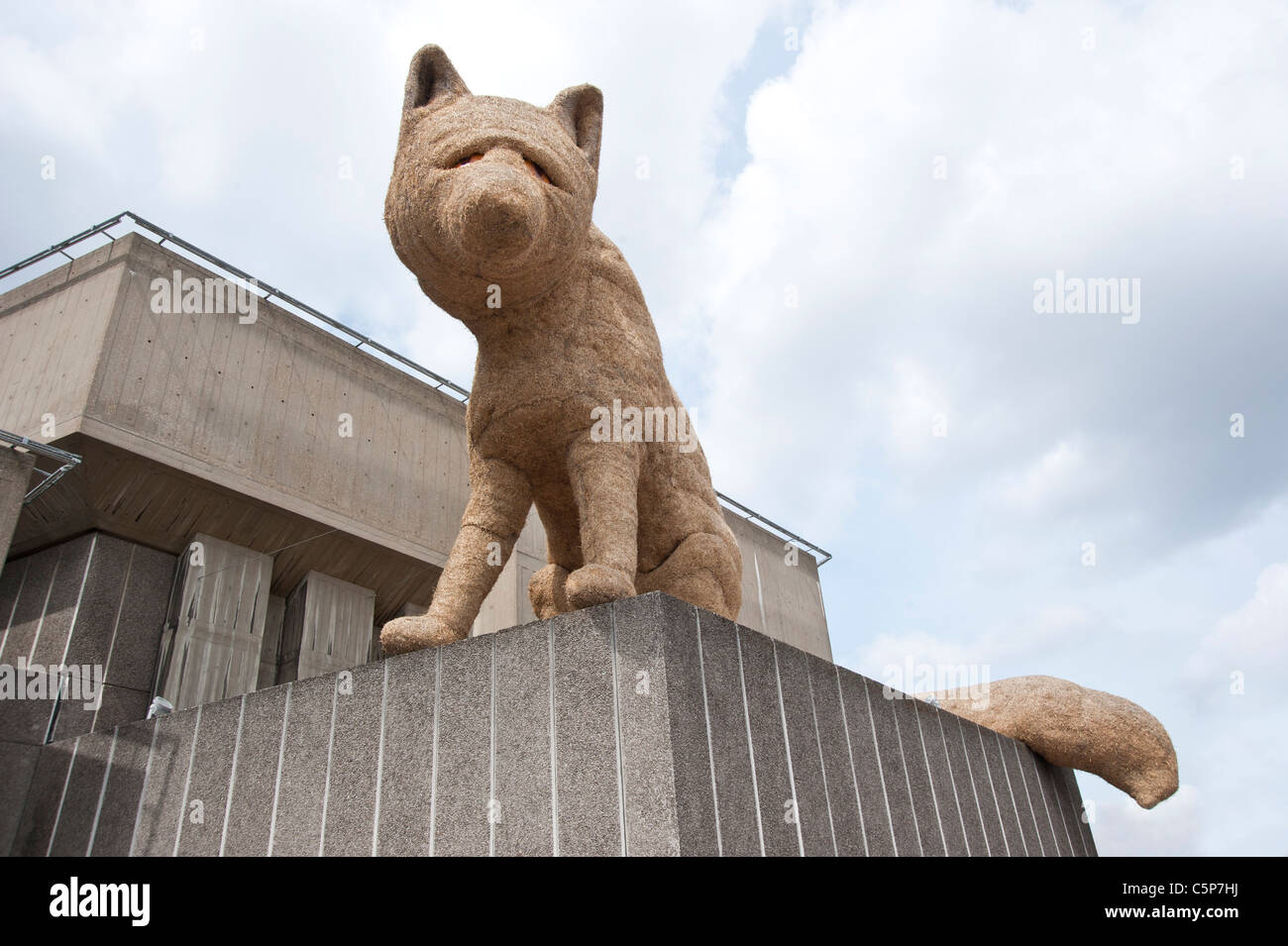 Urban fox al South Bank di Londra Foto Stock