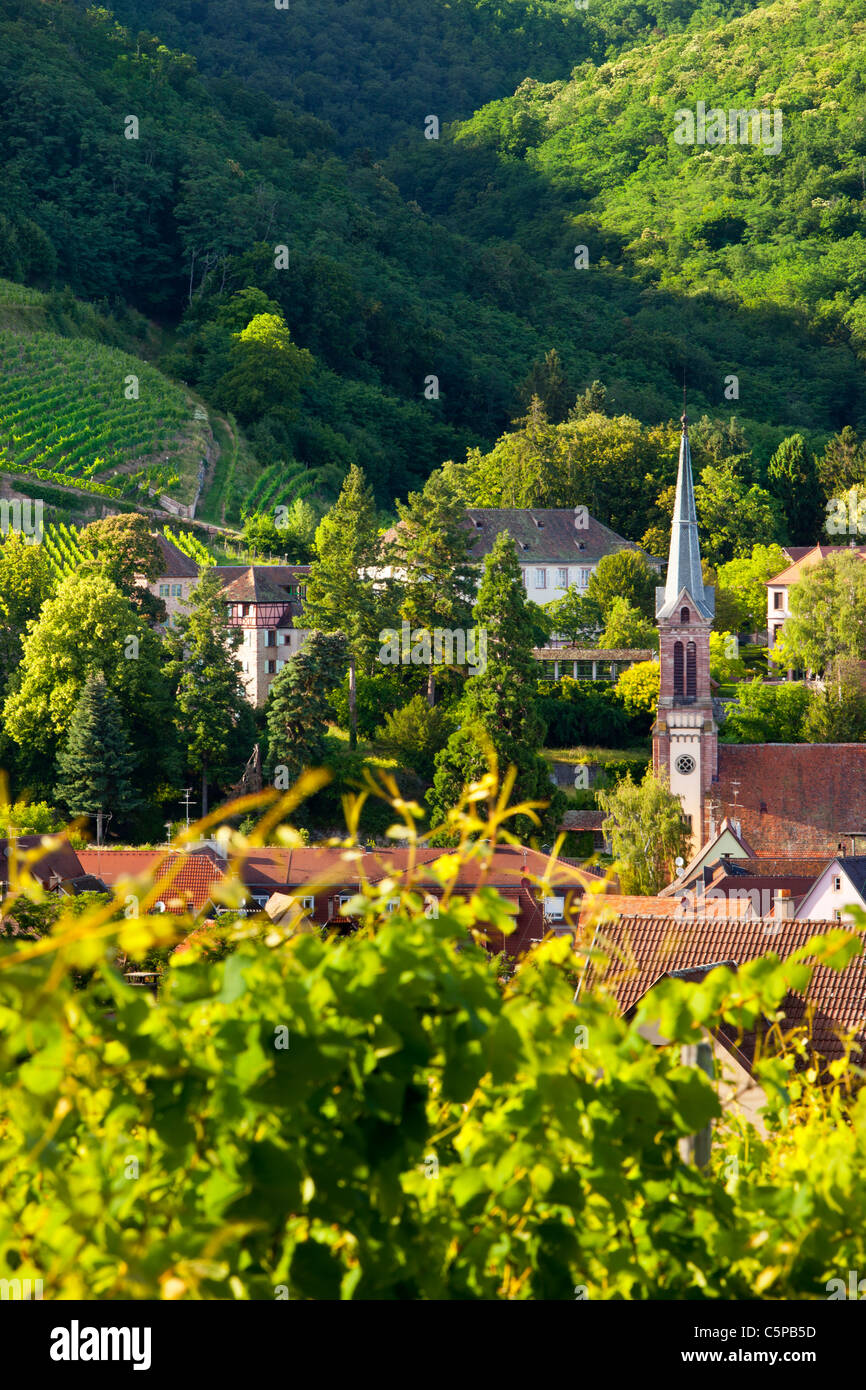 Campanile di una chiesa e di edifici di Ribeauville lungo la strada del vino Alsaziano Haut-Rhin Francia Foto Stock