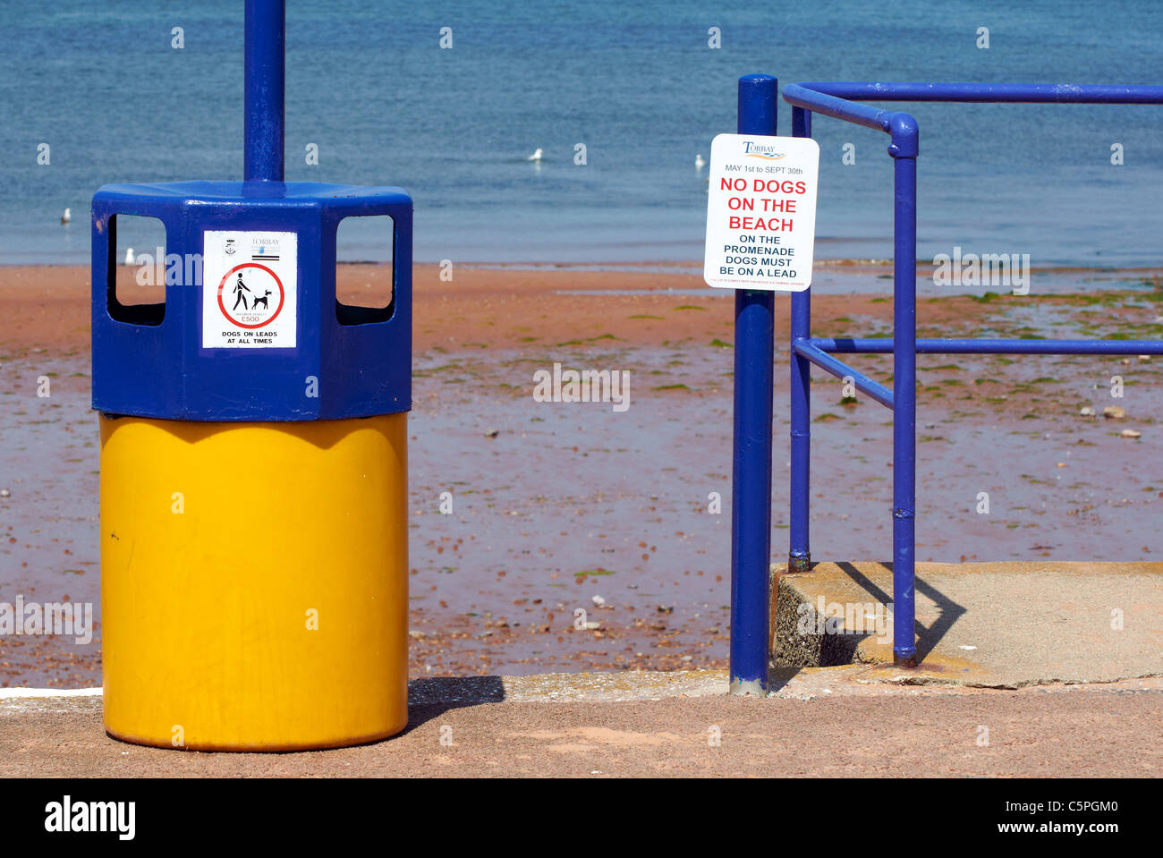Il blu e il giallo dello scomparto di lettiera e firmare avvertimento che i cani non sono ammessi sulla spiaggia, Broadsands Beach, Paignton, Devon. Foto Stock