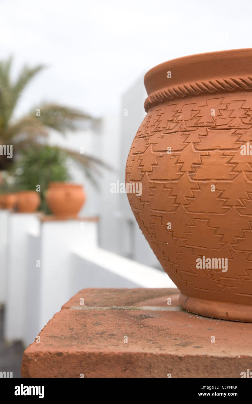 Impianto di terracotta pot lungo il giardino spagnolo parete in estate Foto Stock