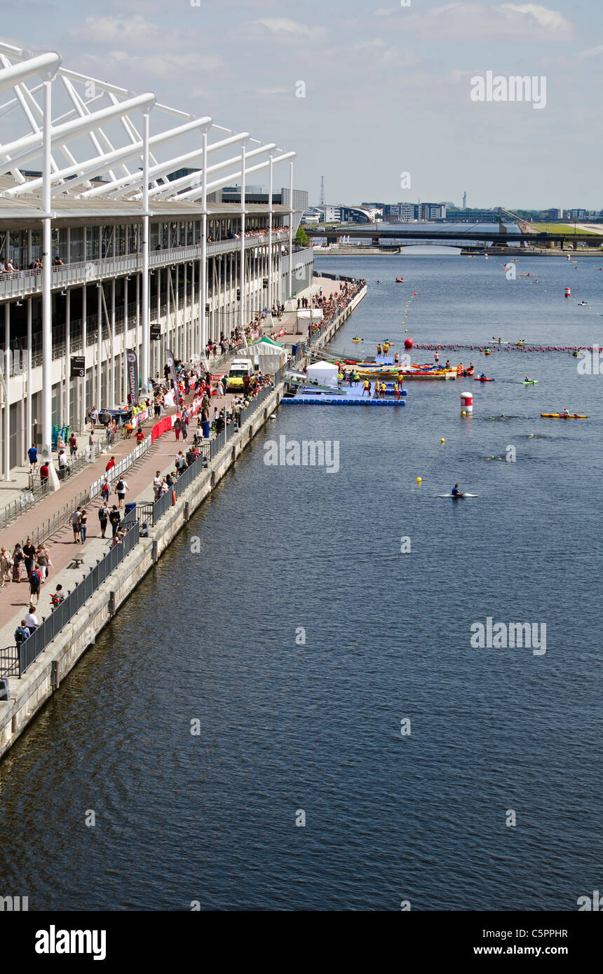 ExCeL London Centre - nuotatore in triathlon Foto Stock