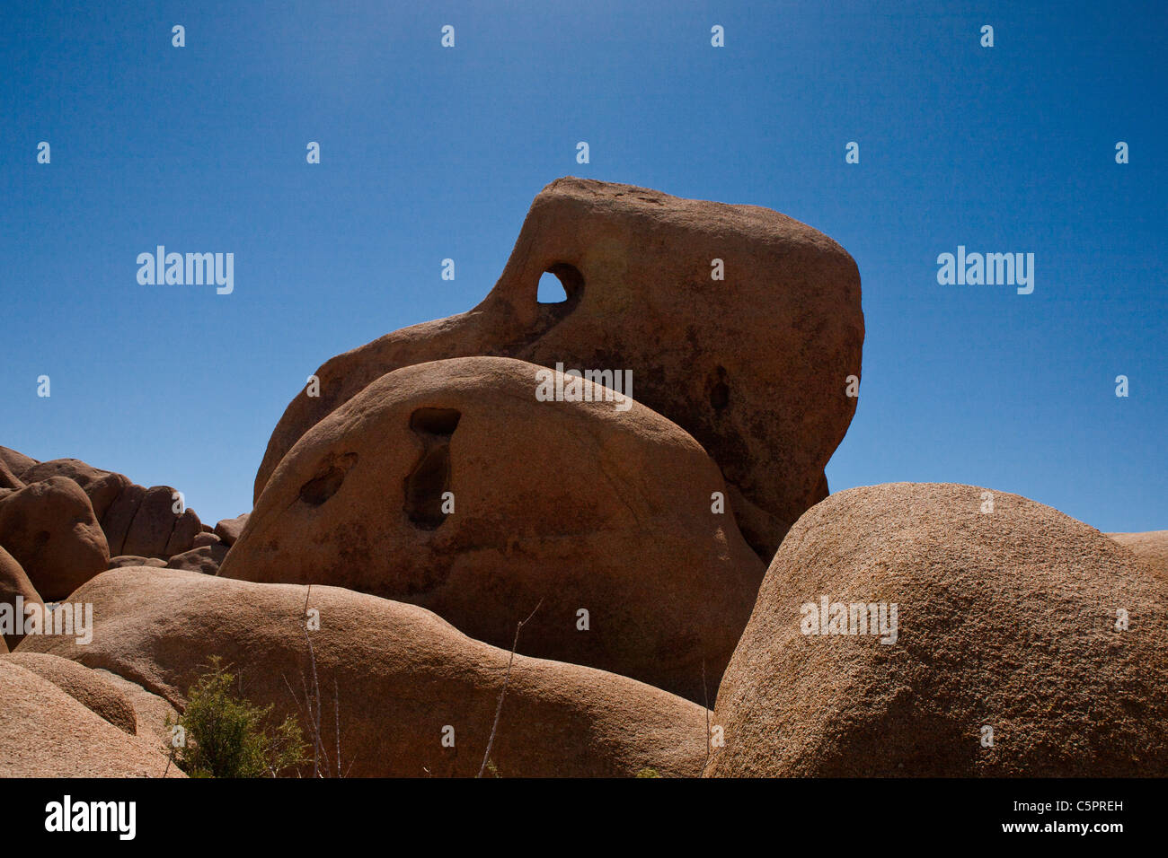 Cranio Rock, Joshua Tree National Park, California, Stati Uniti d'America Foto Stock