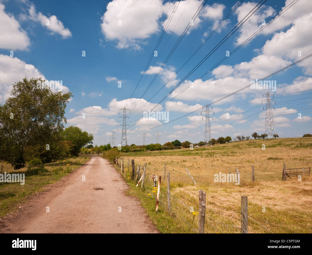 National Grid tralicci e cavi di alimentazione attraversare terreni agricoli in campagna inglese Foto Stock
