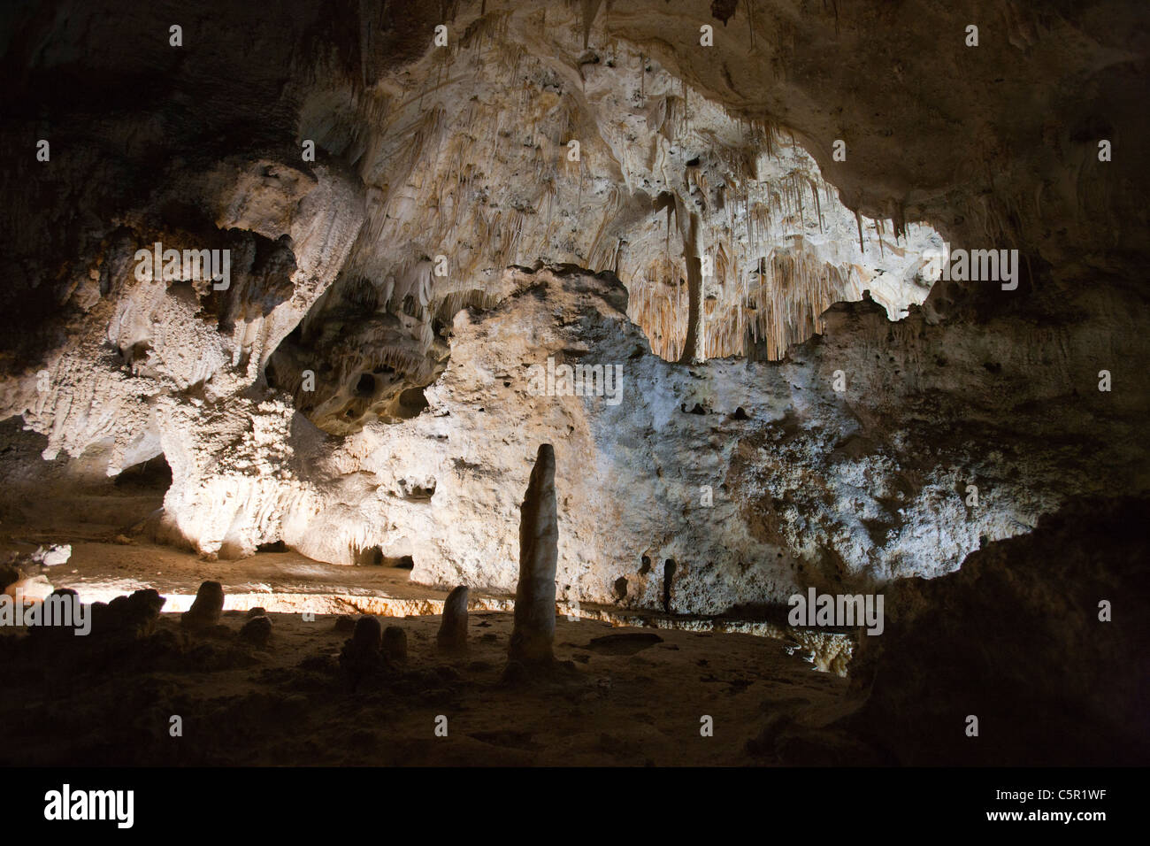 Interior caverne, big room / Sala dei Giganti, parco nazionale di Carlsbad Cavern, Nuovo Messico, Stati Uniti d'America Foto Stock