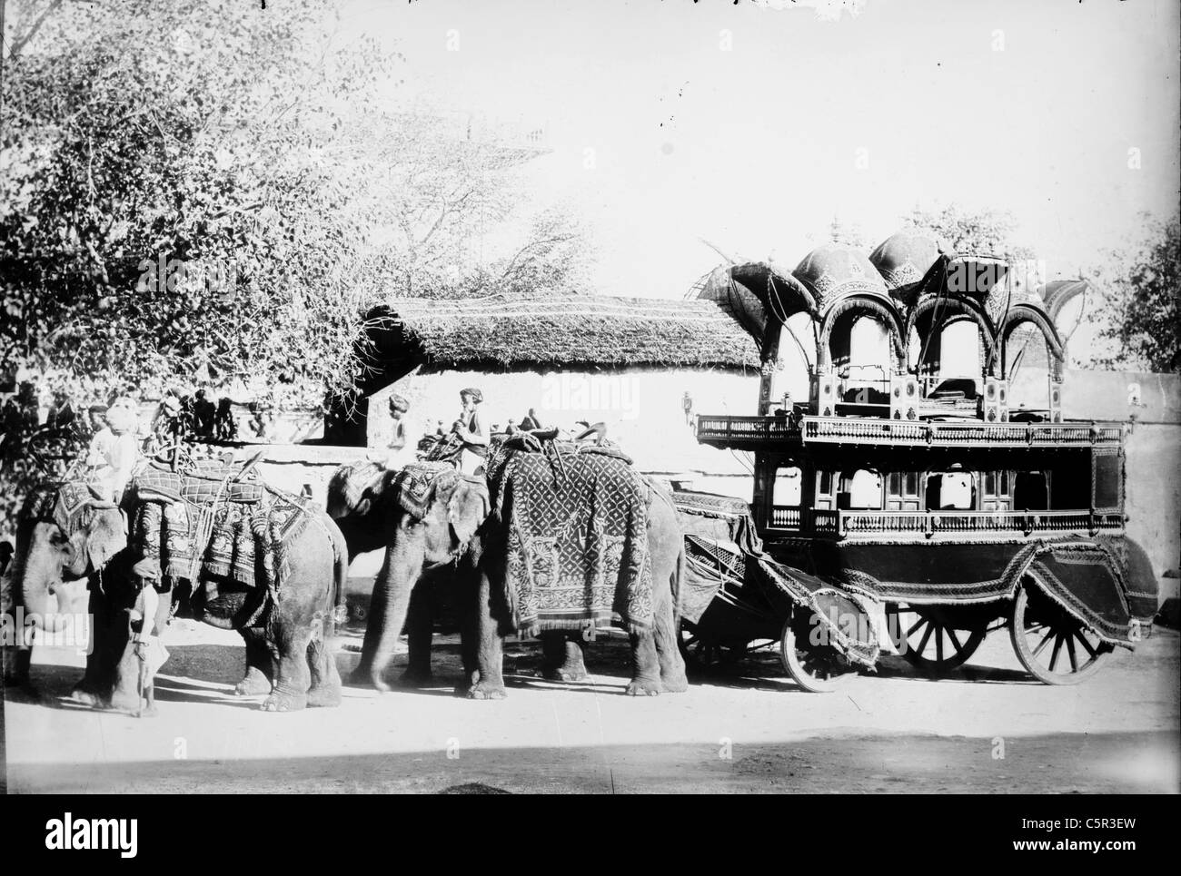 Quattro gli elefanti tirando il carrello, India Foto Stock