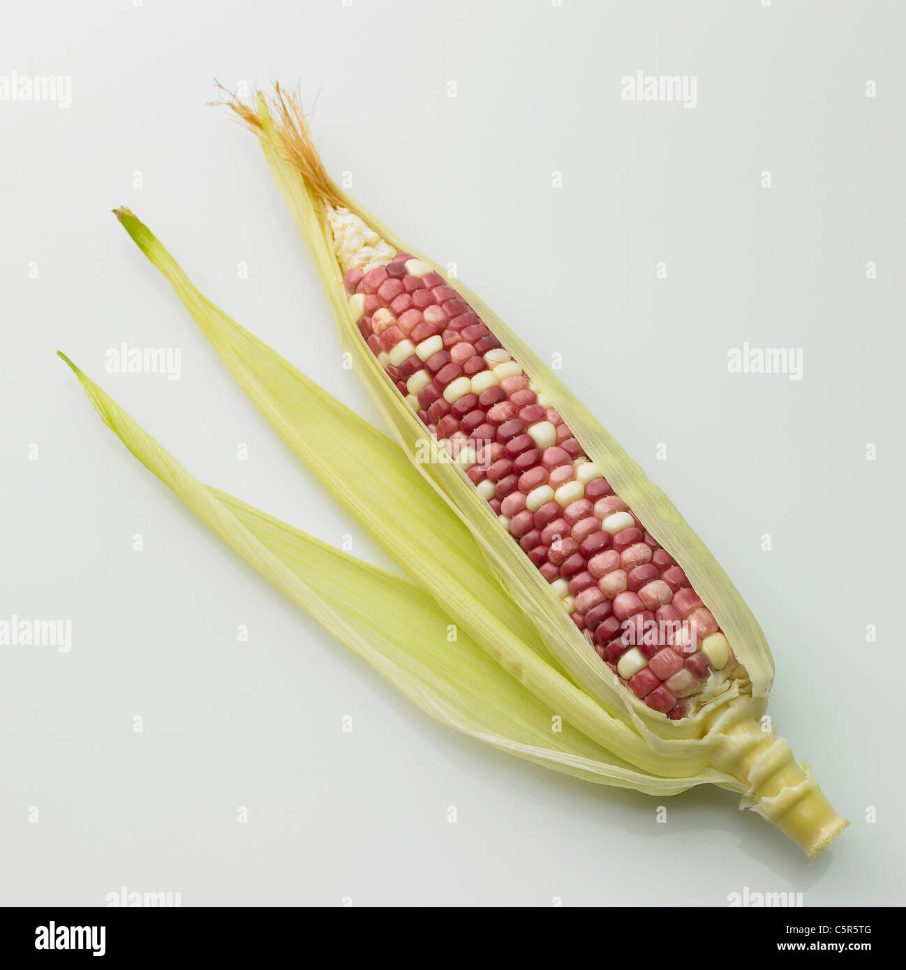 Un cereale Foto Stock