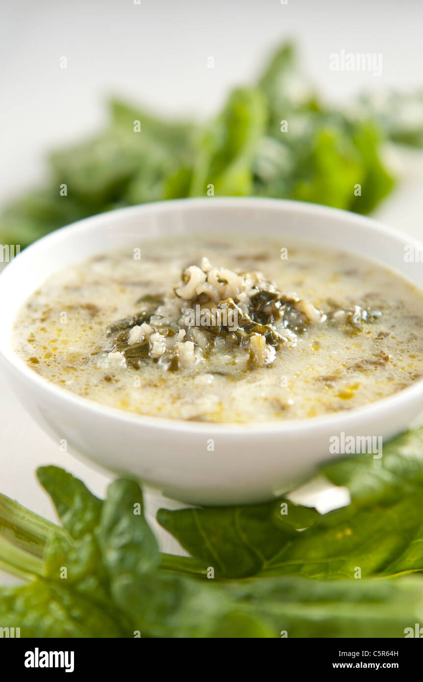 Tradizionali bulgare spinaci zuppa di spinaci freschi di foglie e di riso Foto Stock