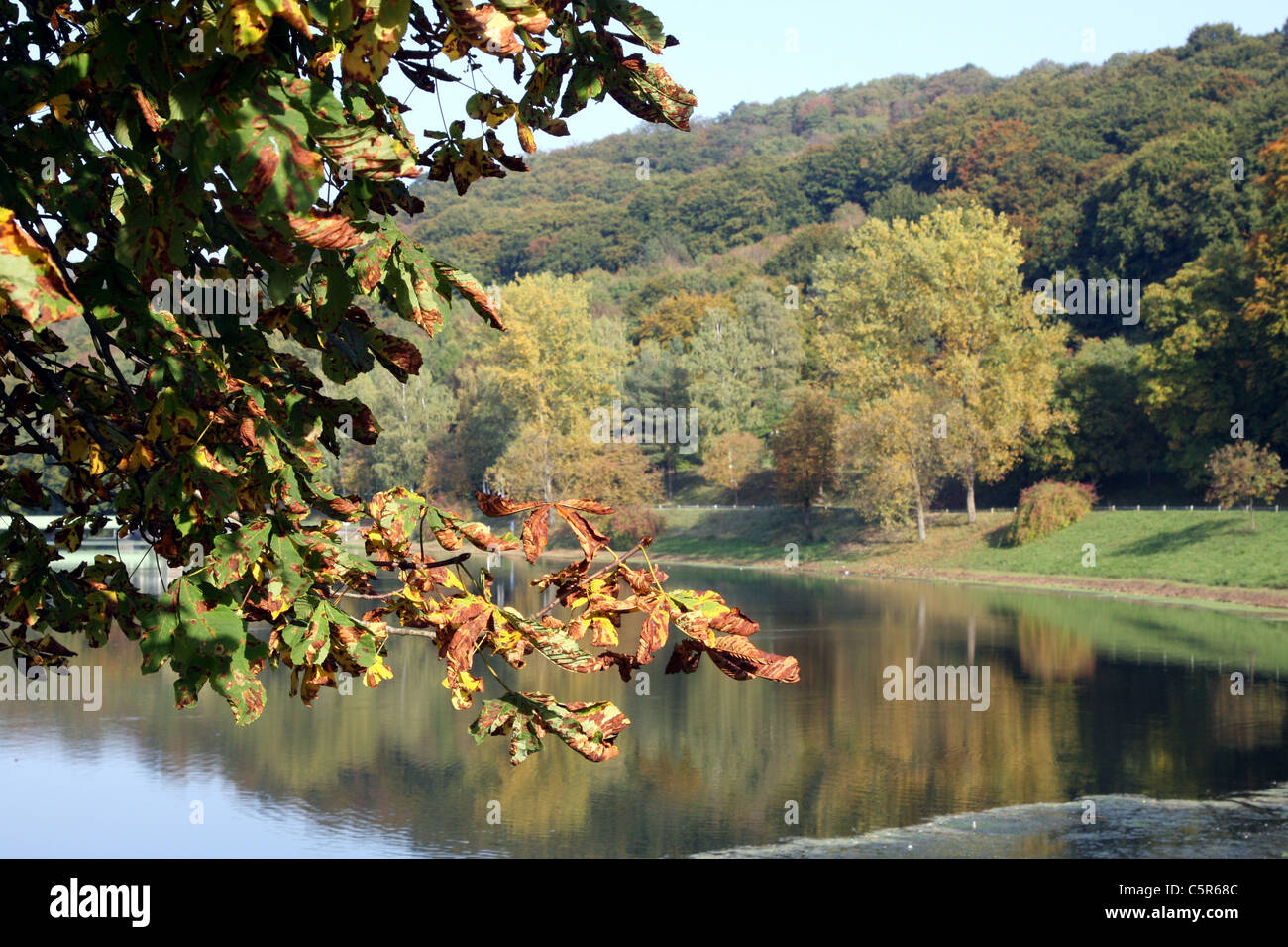 Foglie colorate in autunno contro un paesaggio fluviale Foto Stock