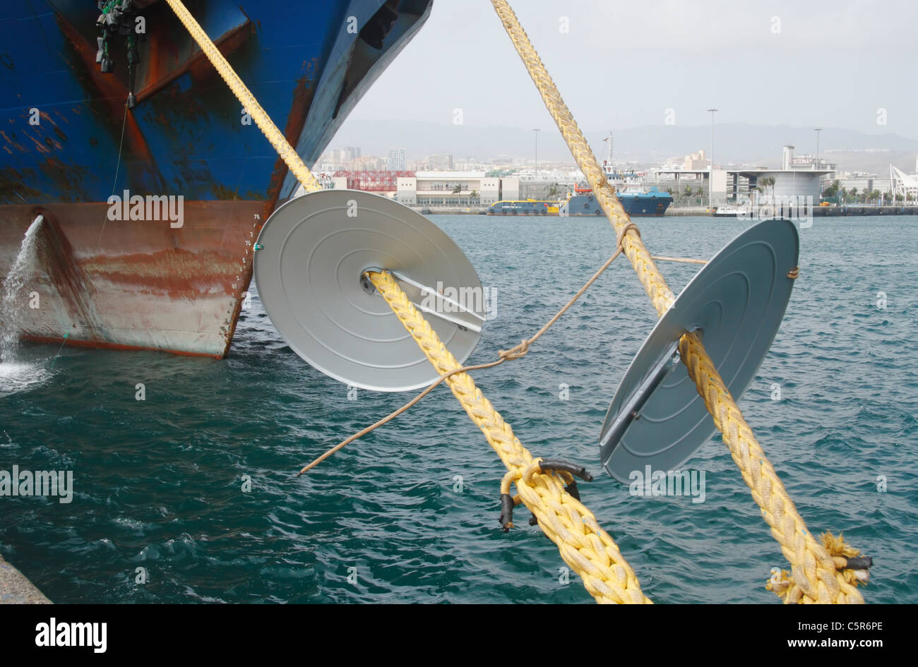 Le protezioni del ratto sulla nave funi di ormeggio per impedire che i topi getting a bordo Foto Stock