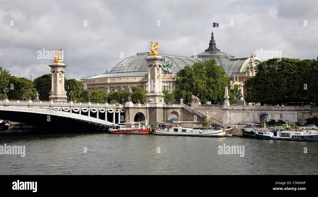 Parigi - Grand Palais e ponte Alexandre III Foto Stock