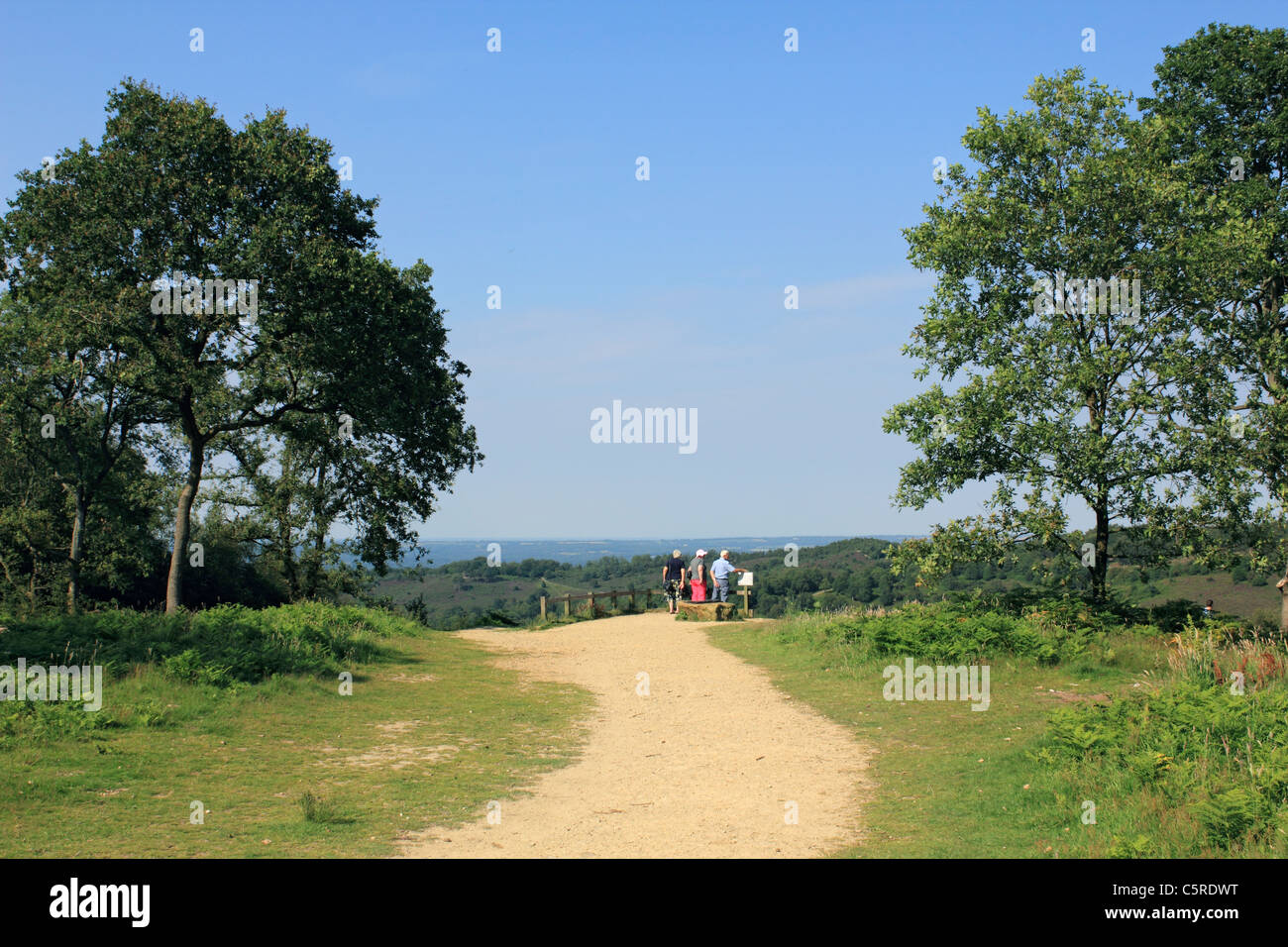 Vista attraverso il Devil's Punch Bowl, Hindhead Surrey in Inghilterra REGNO UNITO Foto Stock