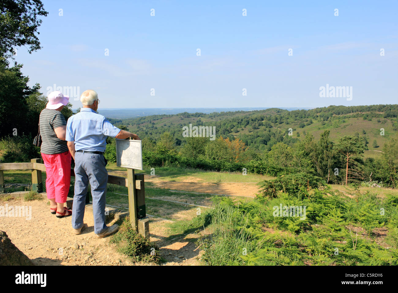 Vista attraverso il Devil's Punch Bowl, Hindhead Surrey in Inghilterra REGNO UNITO Foto Stock