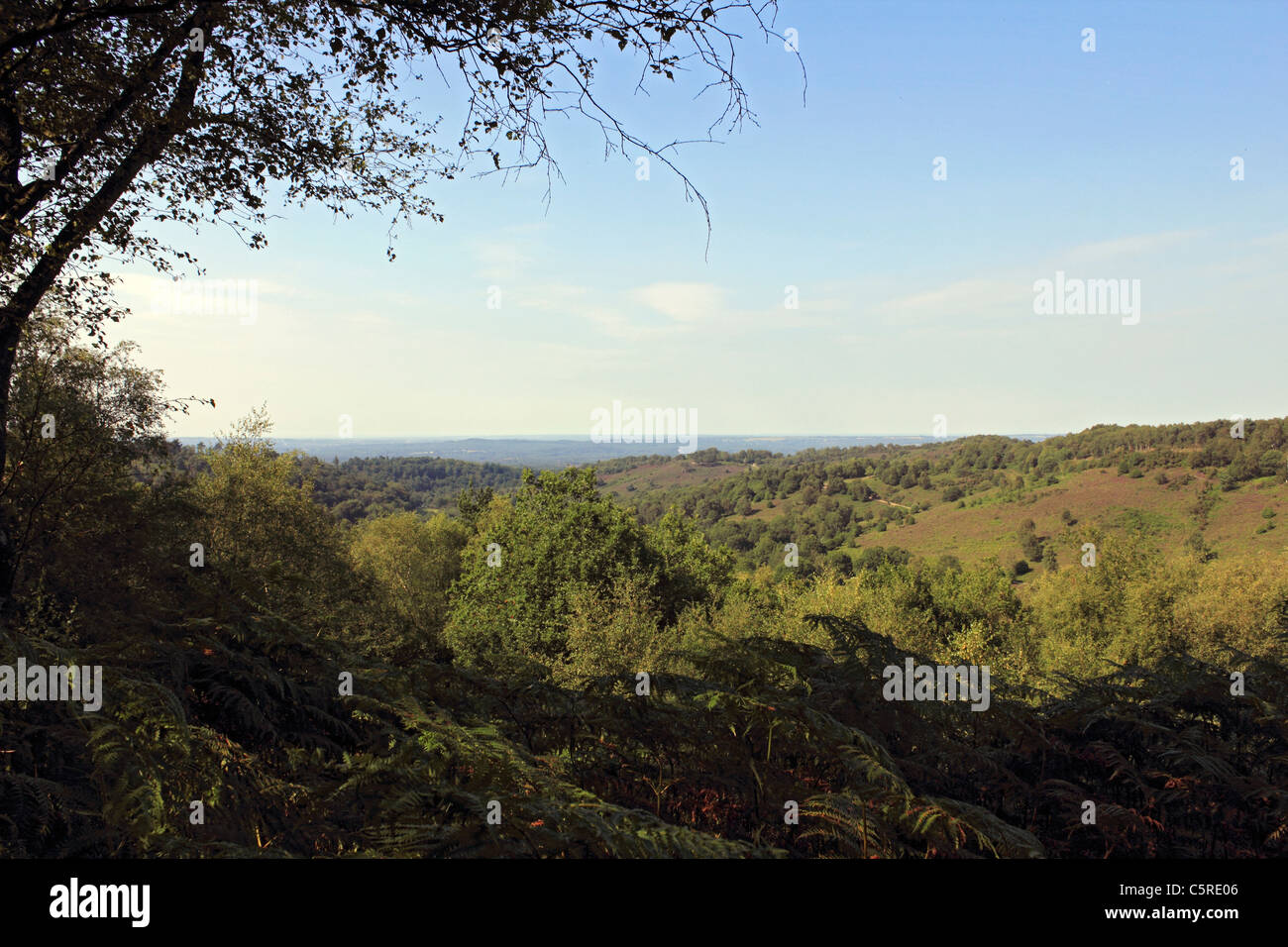 Vista attraverso il Devil's Punch Bowl, Hindhead Surrey in Inghilterra REGNO UNITO Foto Stock