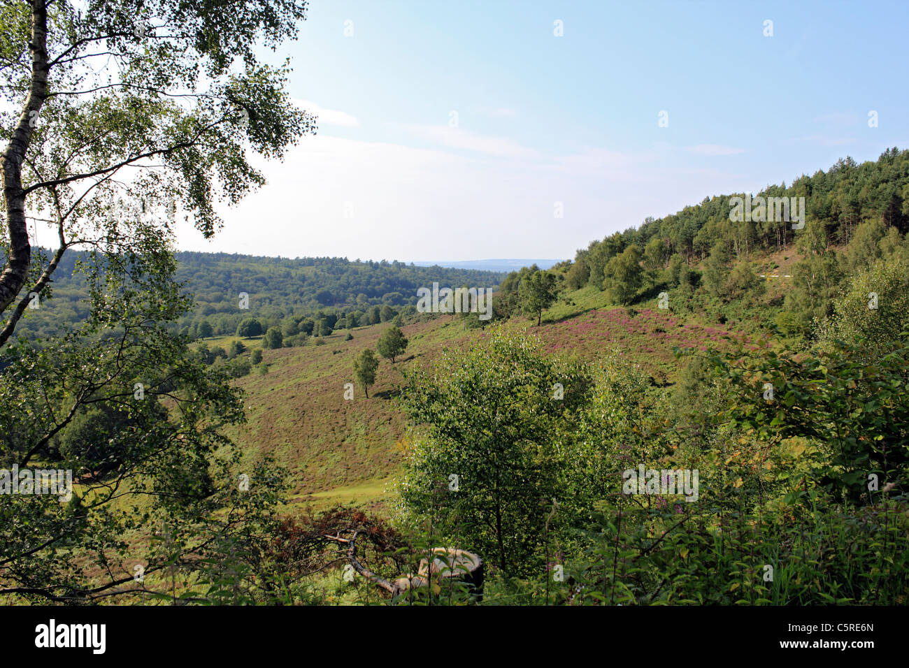 Vista attraverso il Devil's Punch Bowl, Hindhead Surrey in Inghilterra REGNO UNITO Foto Stock