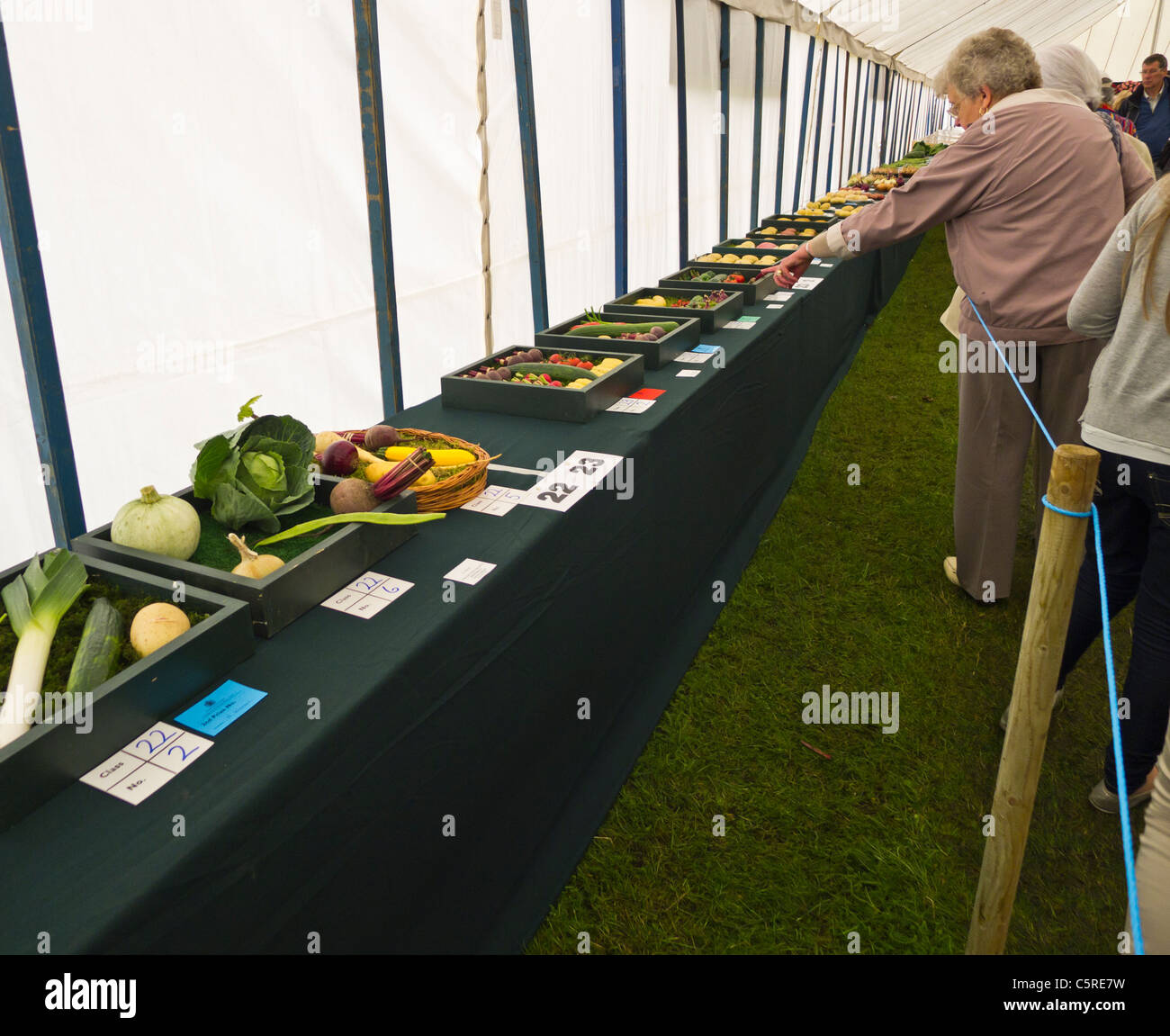 Ai visitatori di ammirare il display vegetali a Sandringham Flower Show 2011. Foto Stock