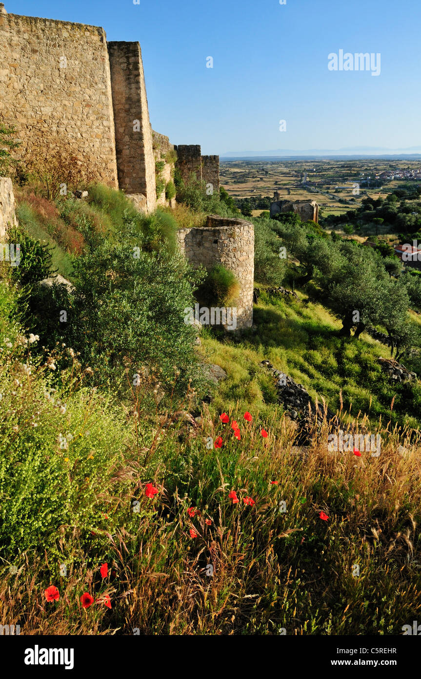 L'Europa, Spagna Estremadura, Trujillo, Vista del vecchio castello storico Foto Stock