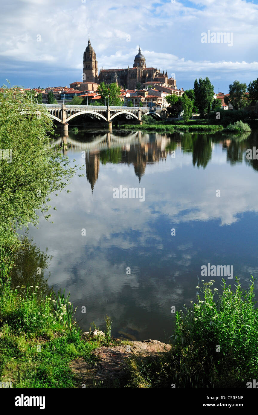 Europa Spagna Castiglia e Leon, Salamanca, vista sulla città e la cattedrale di tutta Rio Tormes Foto Stock