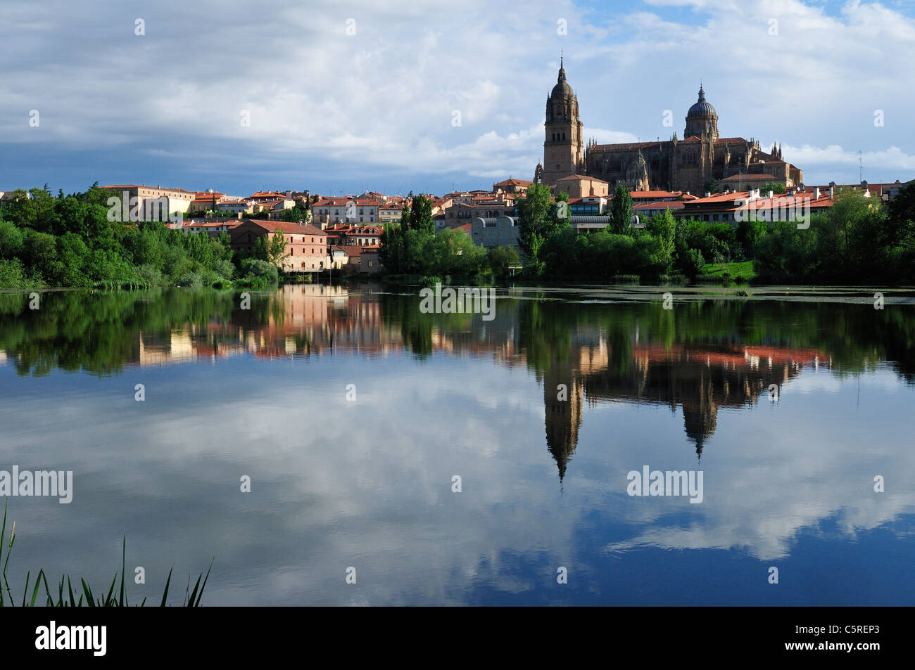 Europa Spagna Castiglia e Leon, Salamanca, vista sulla città e la cattedrale di tutta Rio Tormes Foto Stock