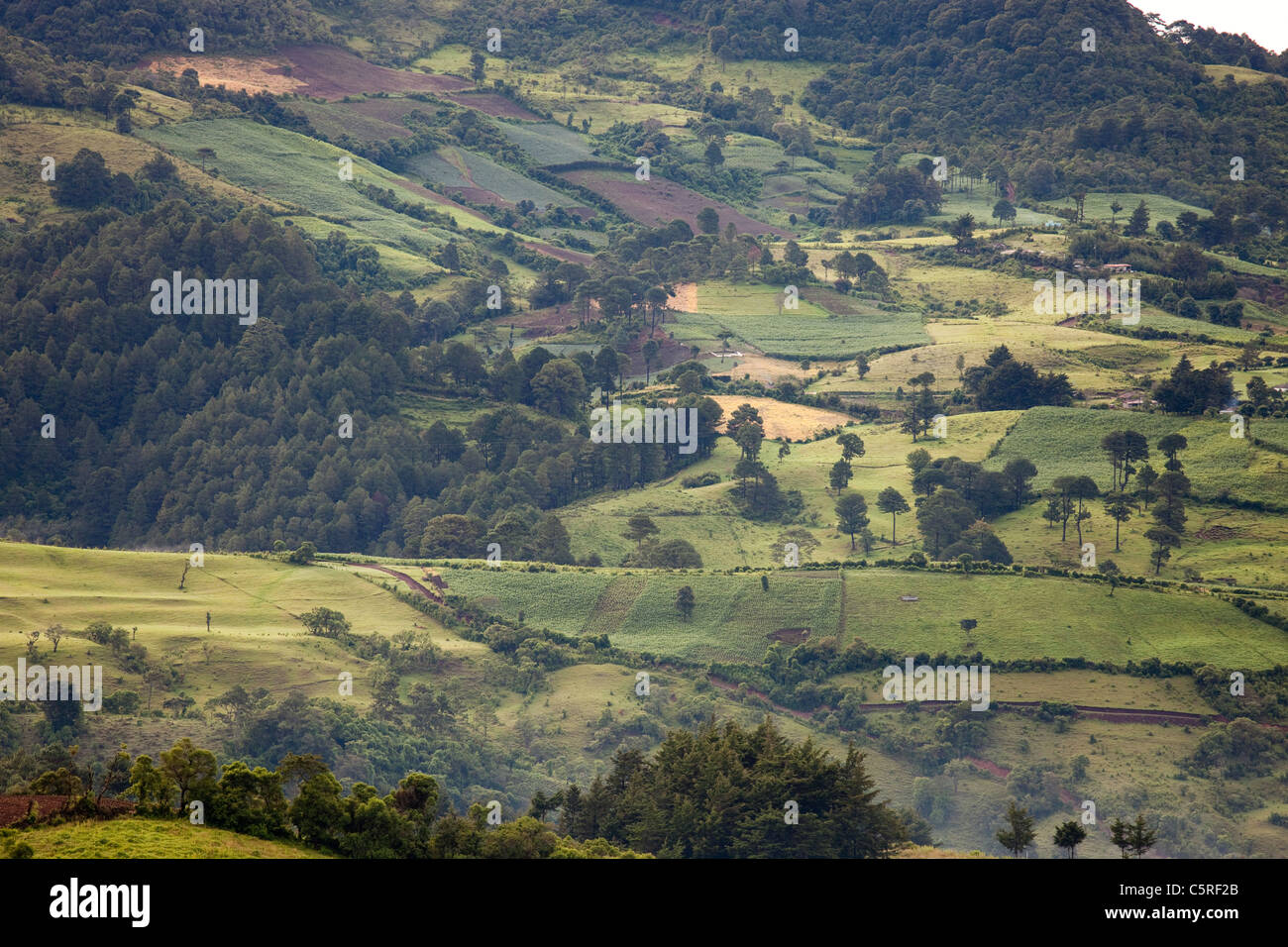 Campi e colline, Honduras Foto Stock