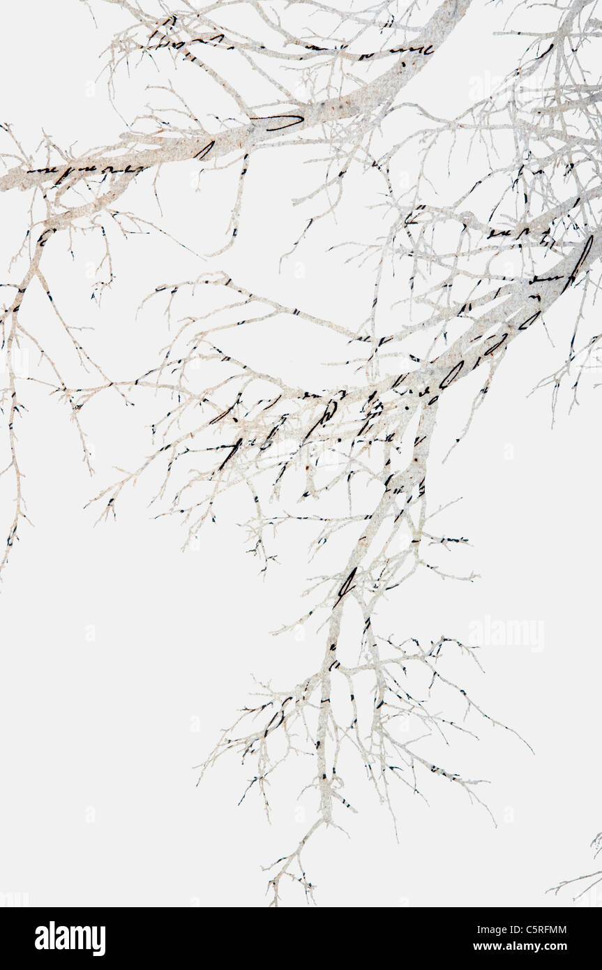 Collage di ramo di albero con testo contro uno sfondo bianco Foto Stock
