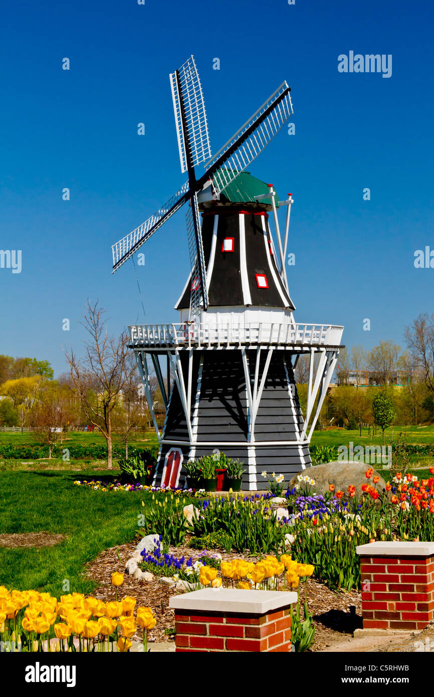 Un mulino a vento con molla tulip fiori sulla isola di Mulino a vento in Olanda, Michigan, Stati Uniti d'America. Foto Stock