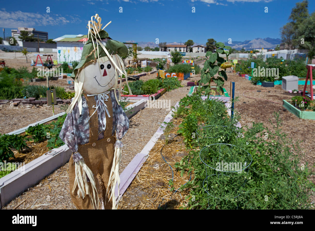 Tonopah comunità giardino Foto Stock