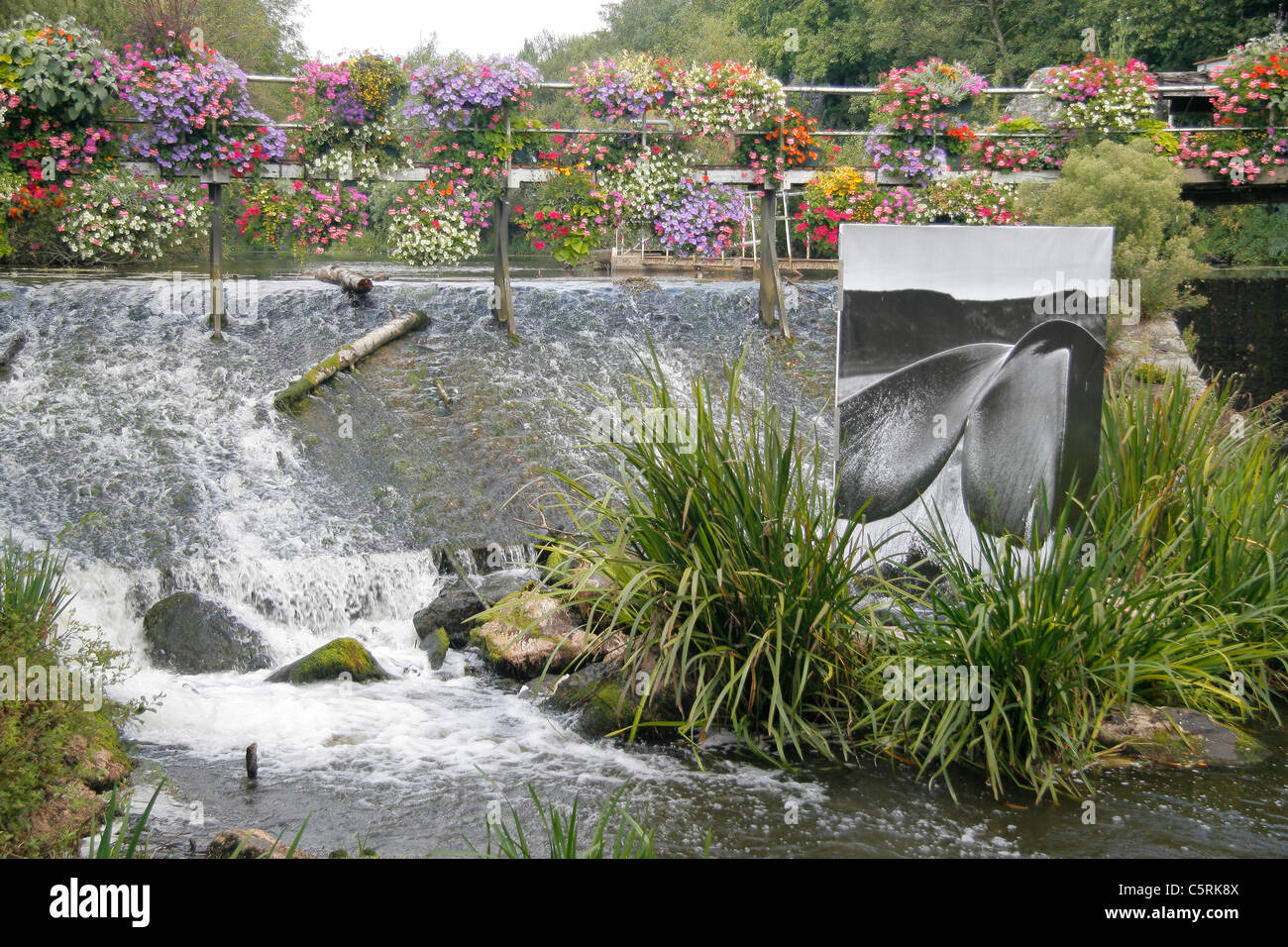 Ponte sul fiume Aff a La Gacilly, foto festival (Morbihan, in Bretagna, Francia). Foto Stock