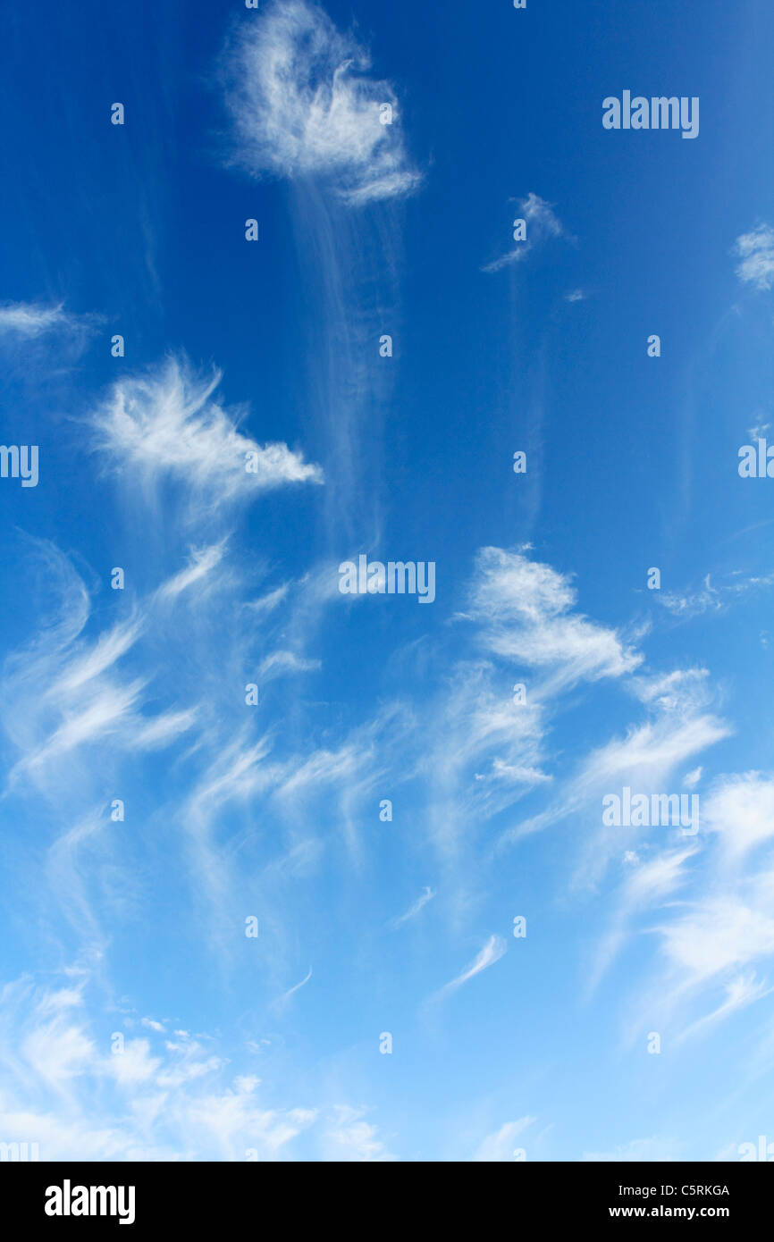 Cielo blu e nuvole bianche Foto Stock