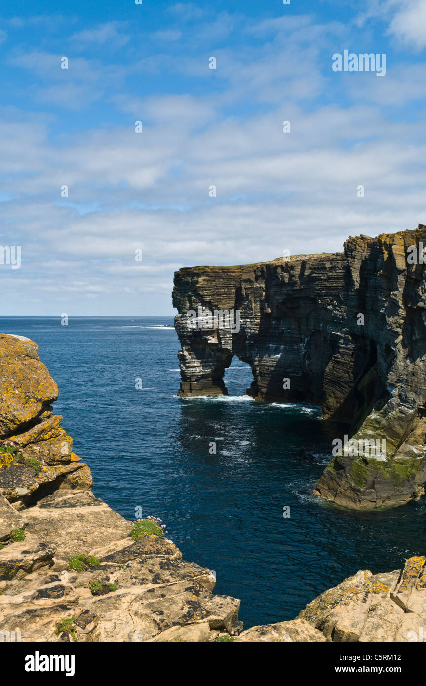 dh scabra Head scotland ROUSAY ORKNEY Seacliffs e naturale arco di mare scogliera costiera erosione scogliere stack costa Foto Stock