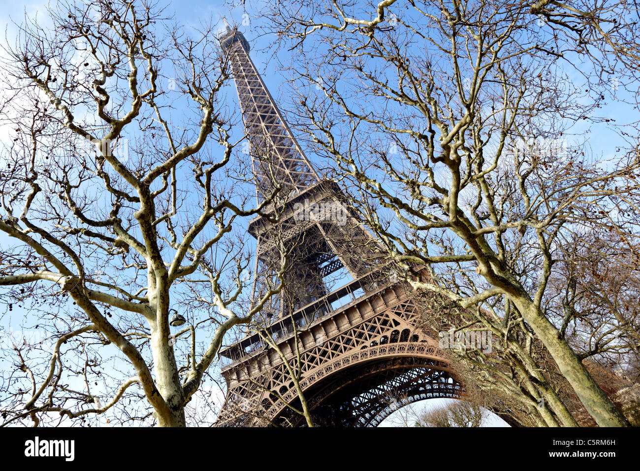 Torre Eiffel, Parigi Foto Stock