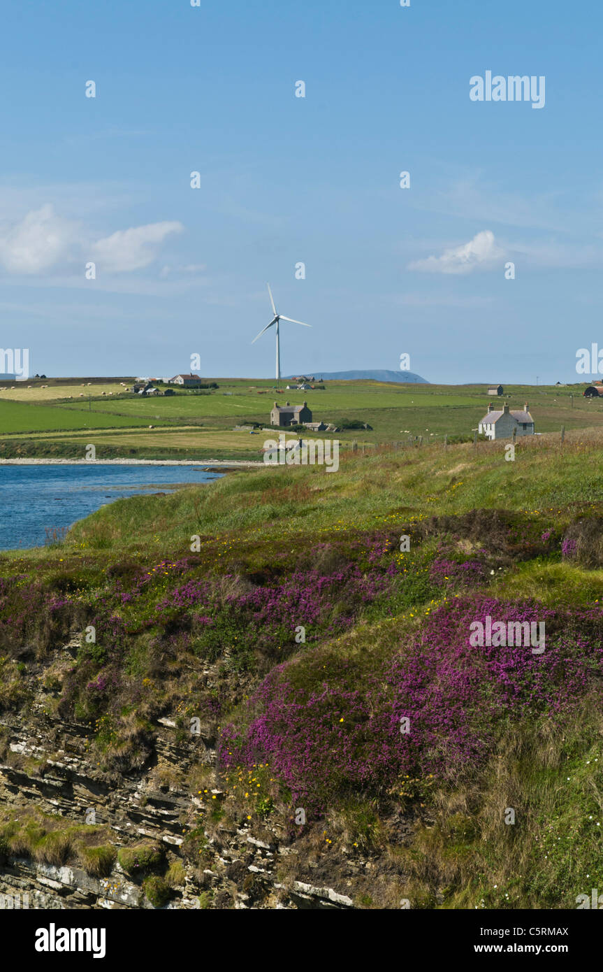 dh Kirk Bay FLOTTA ORKNEY Flotta costa sud villaggio vento turbine isole uk isola singola torre turbina a vento remoto Foto Stock