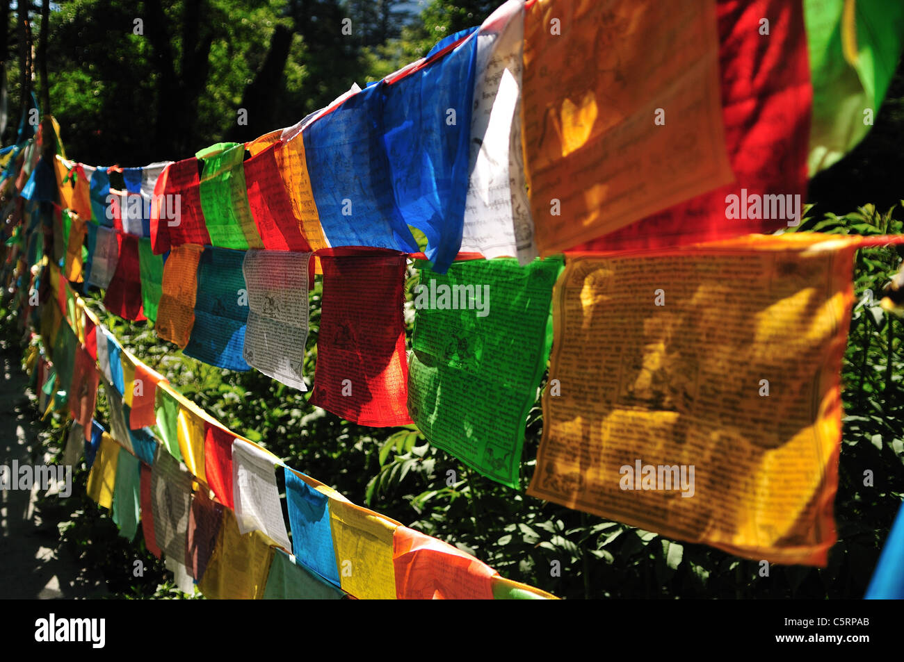 Colorato la preghiera tibetano bandiere. Sichuan, in Cina. Foto Stock