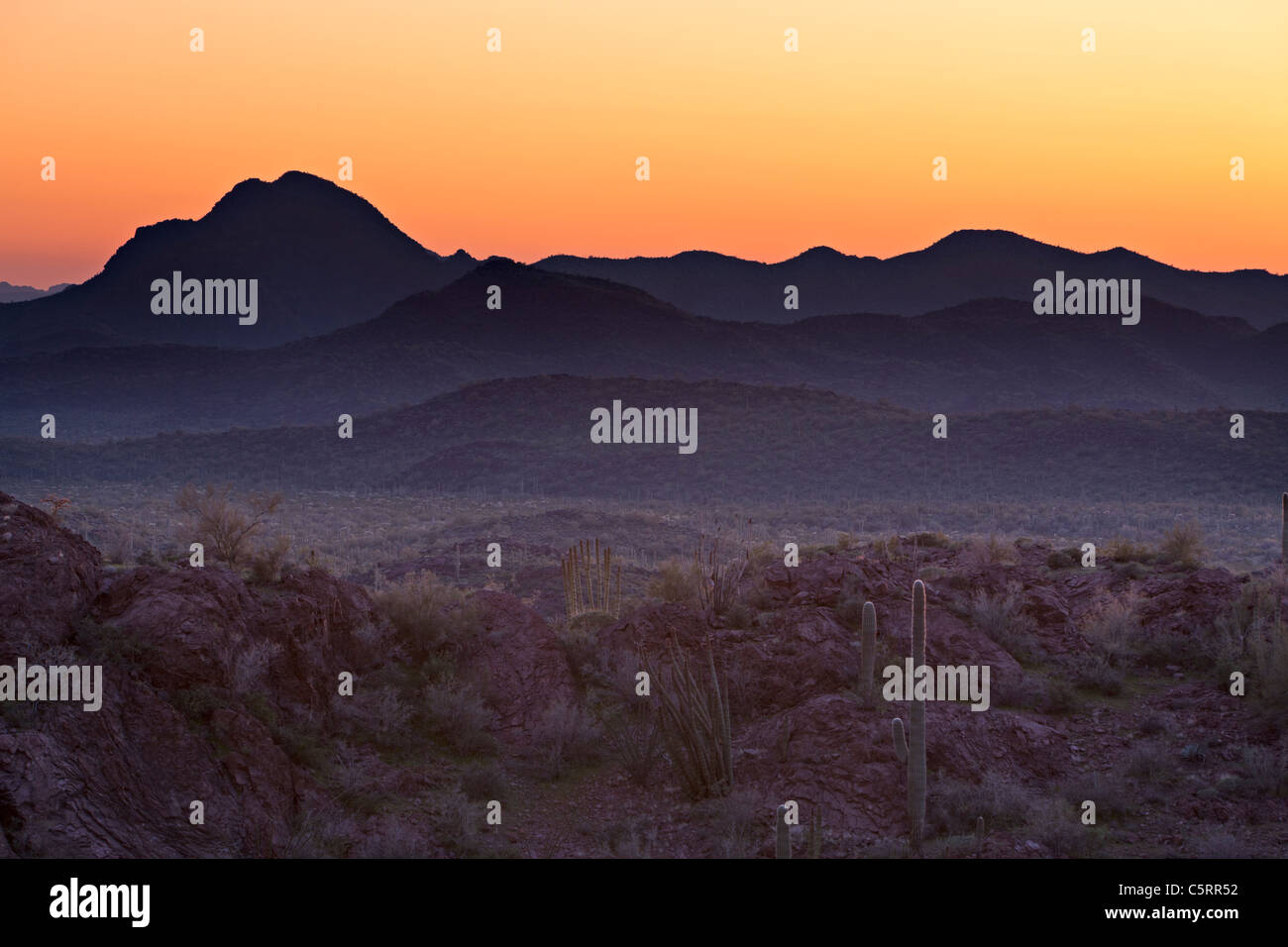 Montagna paesaggio deserto lungo il confine messicano, organo a canne monumento nazionale, Arizona, Stati Uniti d'America Foto Stock