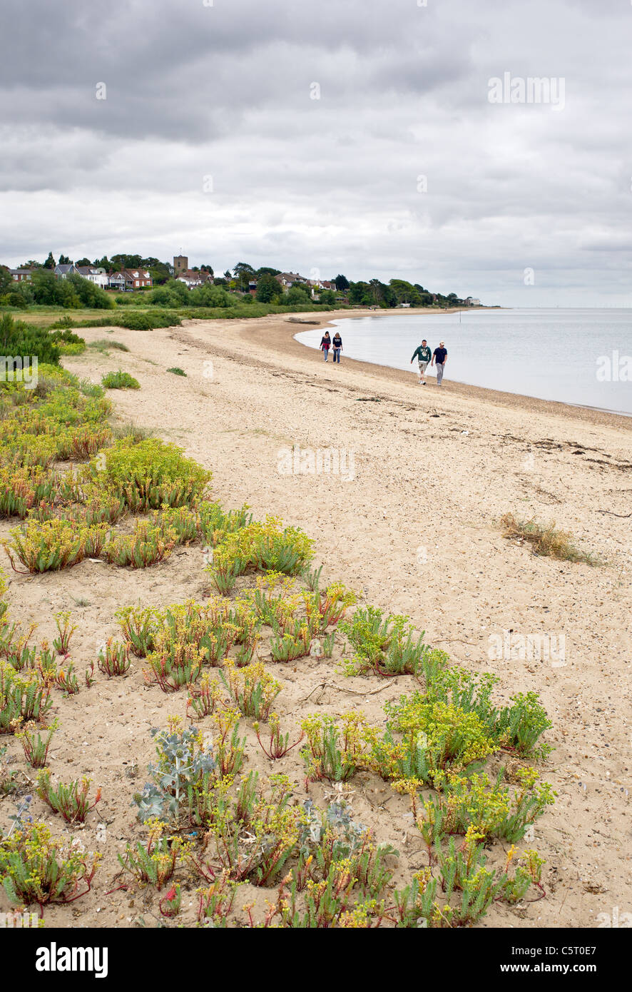 La gente camminare lungo il foreshore di Mersea Island in Essex. Foto Stock
