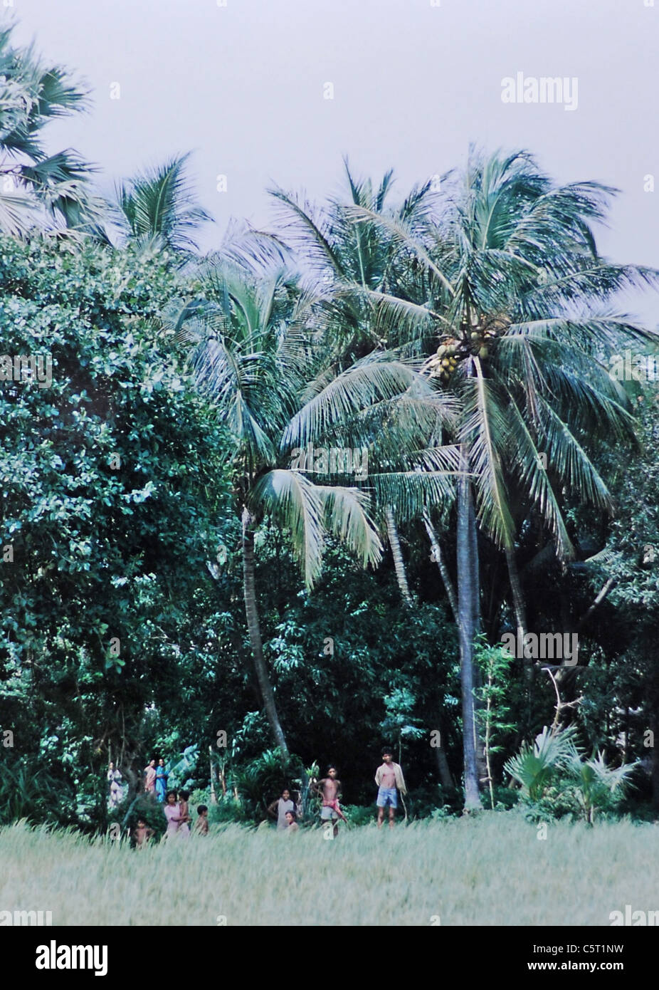 I membri di un villaggio collinare giungono ai margini della foresta nella regione di Orissa in India 1992 Foto Stock