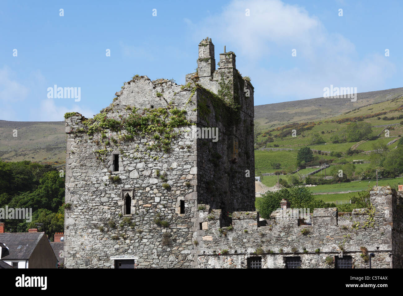 Repubblica di Irlanda, nella contea di Louth, penisola di Cooley, Carlingford, vista di Taafe il castello Foto Stock