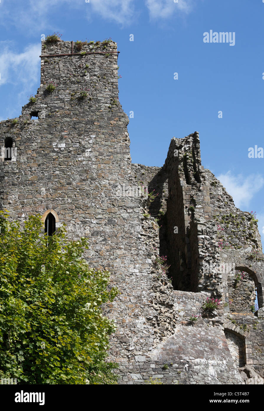 Repubblica di Irlanda, nella contea di Louth, penisola di Cooley, Carlingford, vista di re Giovanni il castello Foto Stock